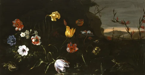 Bloemen en Kikkers